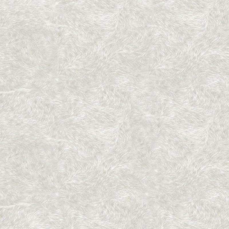 1460060015204.jpeg