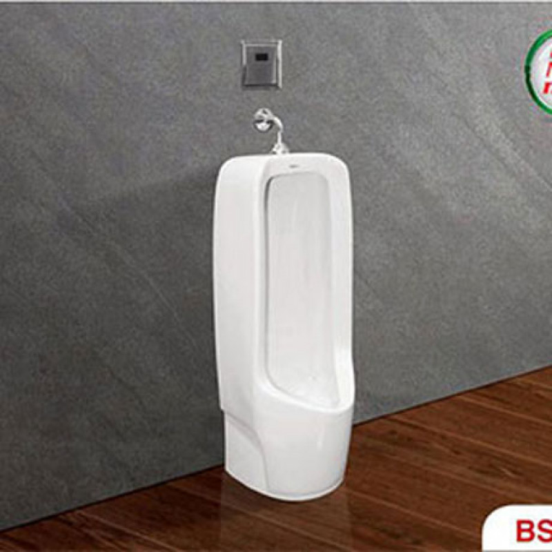 bs604.jpg