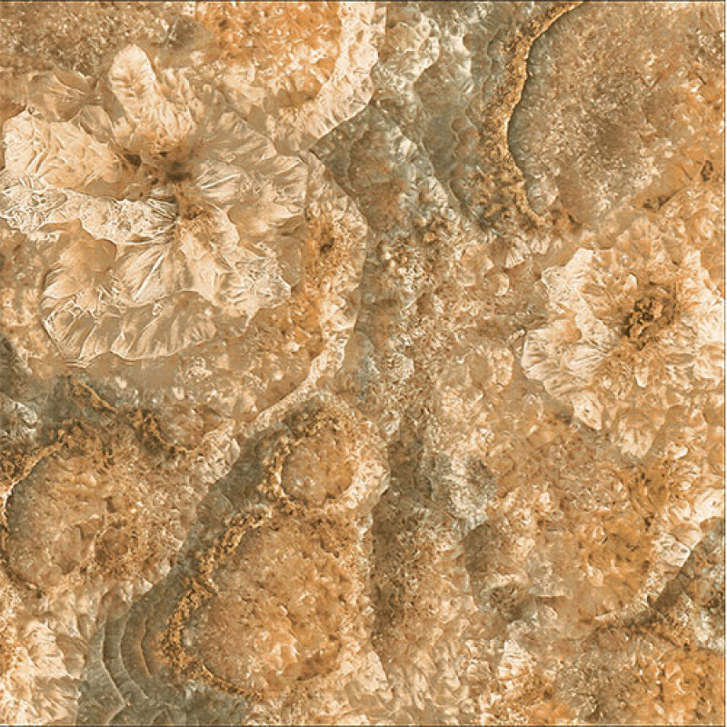 eco-s605.jpg
